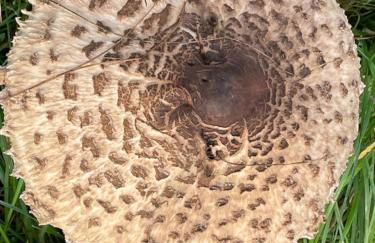 Ferienwohnung Aussicht, Monheimer Alb, Altmühltal - Foto 33