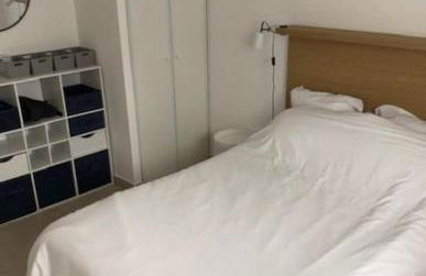 Appart. en Corse t3 bord de mer et piscine. N 143 - Foto 16