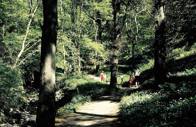 Charming Yurt in Kelburn Estate Near Largs - Foto 3