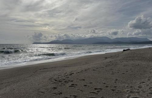 Jassemi Studio - Foto 26