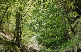 Casa Vacanze IL BOSCACCIO "Casa Serena" - Foto 41