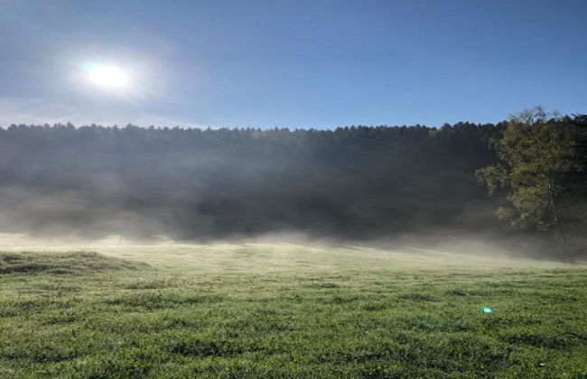 Tranquil Escape in Rauschenbach - Foto 28