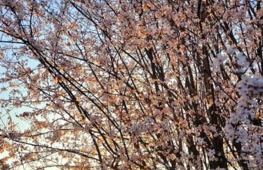 Gemütliche Wohnung mit Blick in die Wiesen - Foto 17