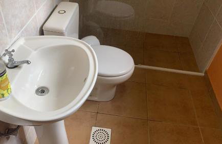 Vale das Estrelas - vale das videiras - araras - Foto 17