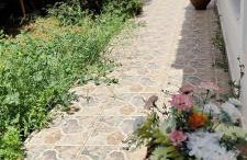 Ellora Suite - Foto 71