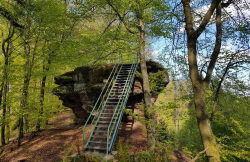 Schöne Ferienwohnung mitten im Pfälzerwaldgebiet - Foto 52