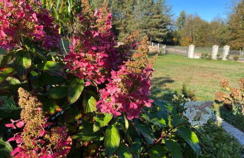 Drewniany Domek w Zakątku Andrzeje Śniczany 18 - Photo 48