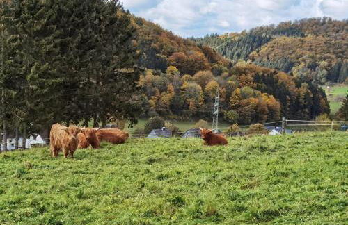 Ferienhaus Waldblick - Photo 55