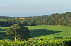 Tarnside Cottages - Foto 13