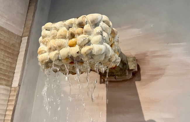 SHANTI SURF CAMP - Photo 39