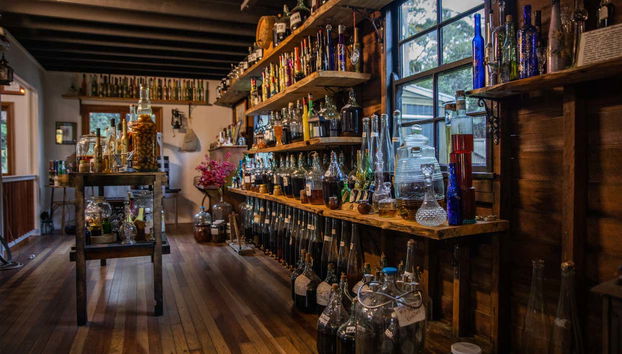 Mt Tamborine Wine Tour - Foto 4