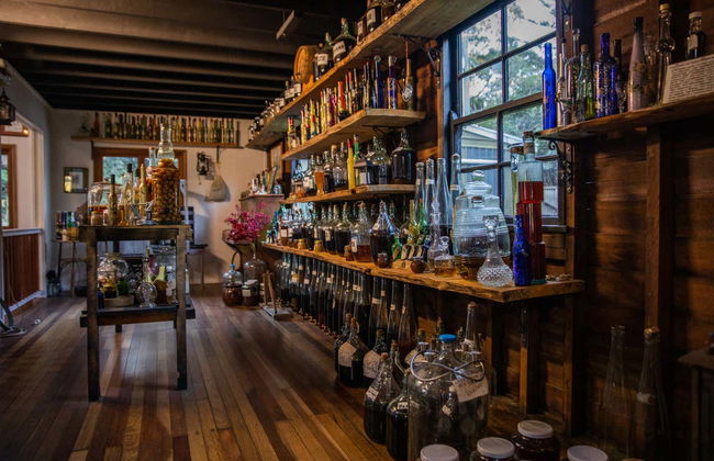 Tour do vinho pela montanha Tamborine - Foto 4