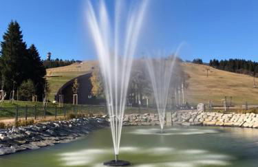 Landhotel und Apartments Sonneck - Photo 27