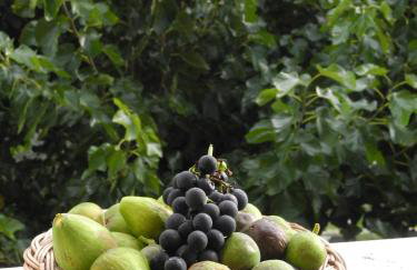 Apartman CASA MARŠIĆ - Foto 19