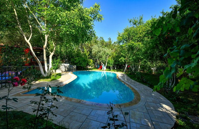 Villa in Fethiye with swimming pool - Foto 1