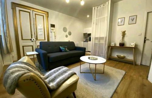 Le Golden magnifique studio Toulouse centre - Foto 2