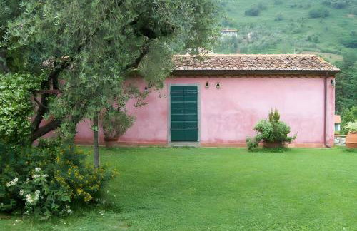 Villa con parco e piscina-Camaiore - Photo 20
