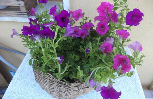 Apartment Montecatini-Terme near Firenze, Lucca, Pisa - Foto 5