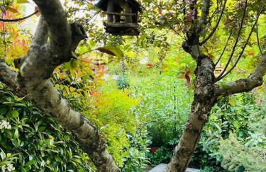 Casa del Riccio - Foto 12