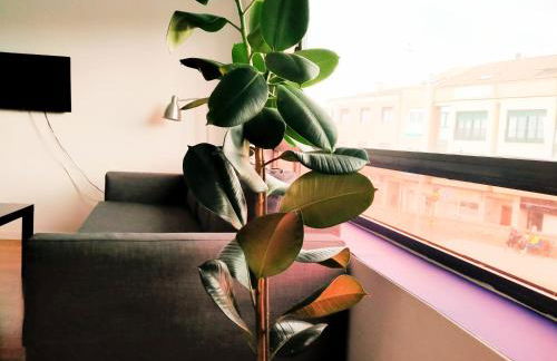 TOLETUM low cost LOFTS diáfanos o 2dormitorios PARKING Municipal Gratis al aire libre a 100m - Foto 46