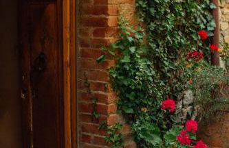 Fattoria San Donato - Foto 19