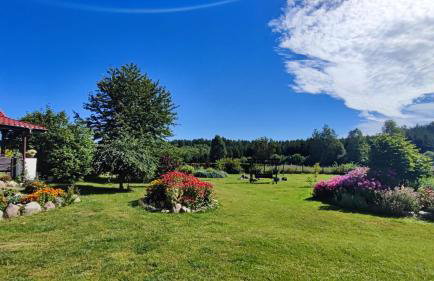 Ostoja Leśna Cisza - Foto 3