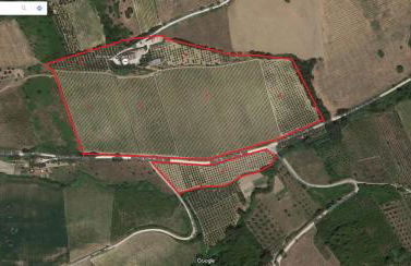 Acquarello - Foto 54