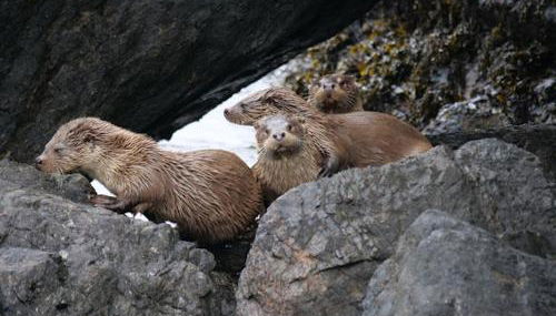 Pegasus Place - Foto 4