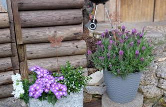 Gutenstein - Bauernhaus mit Charme und Ausblick - Foto 17