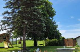 FeWo Familie Thoma - Foto 54