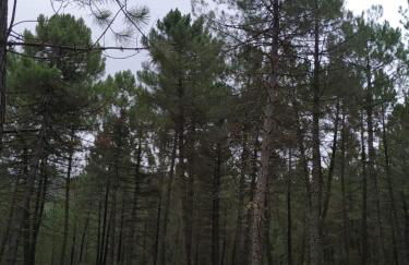 El Rincón de María. - Foto 32