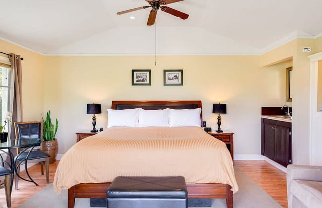 French Provencal Chateau in the Heart of Napa - Foto 12