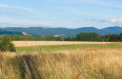 M&E Cztery pory roku Szklarka 25A - Foto 43