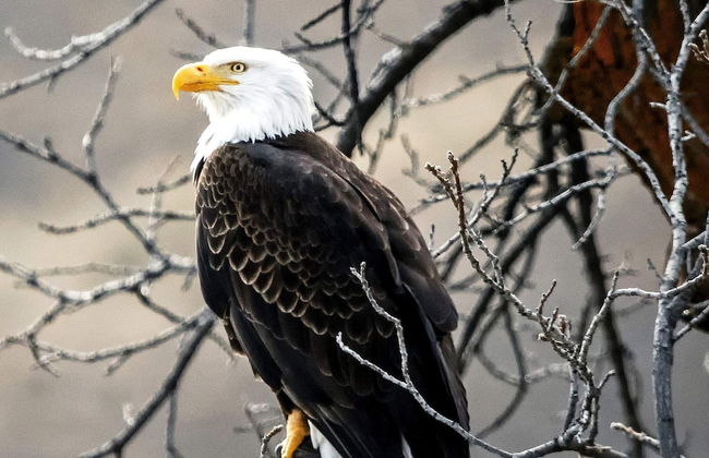 4 Star Holiday Home in Varberg - Foto 10