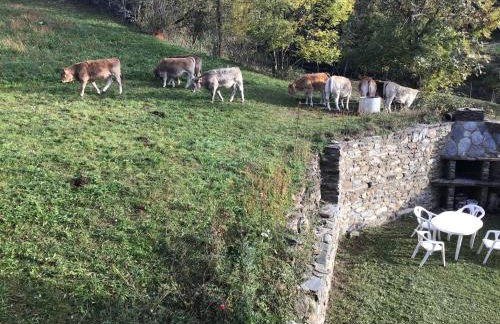 CAL RAMUNDAINA - Foto 26