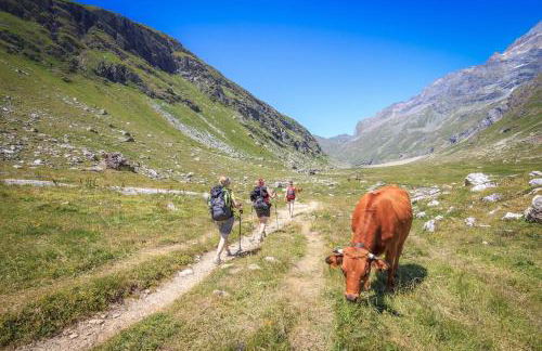 L’Aiglon Grand studio familial - Foto 15