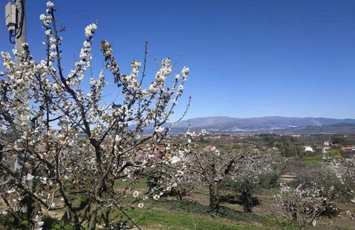 Casa do Alfaiate - Foto 61