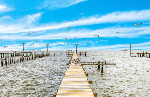 Reel Paradise - Foto 38