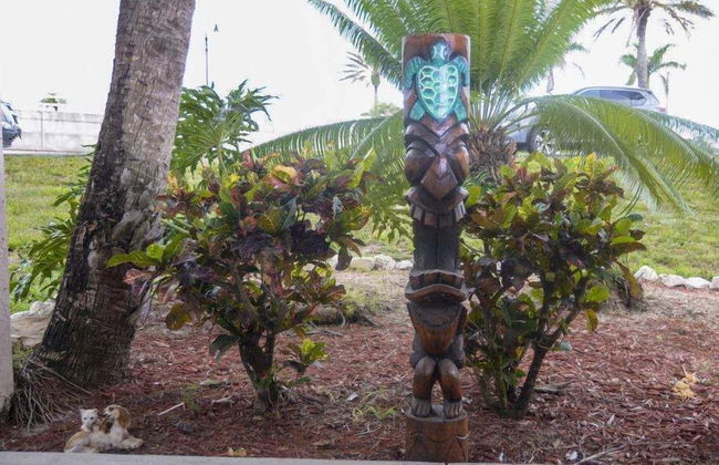 Kon Tiki Inn - Foto 45