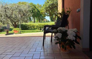 Il giardino delle rose - Foto 21