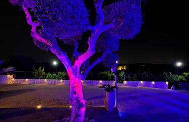 Regina di Puglia Casa Vacanze - Foto 38