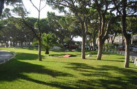 Amazing Algarve - Albufeira - Foto 15