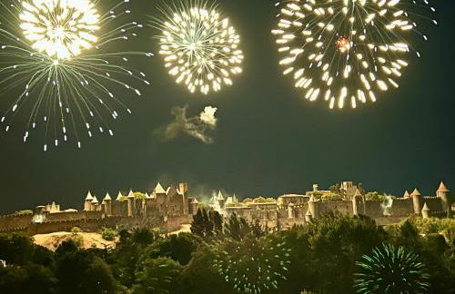 Les Bellevue Cité "3 Apartments, 1 with Garden & Private Parking, Aircon, WiFi, Free Public Car Park, 1 km from Cité" - Foto 29