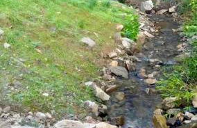 Mountain Cabin & Creek-Front Nature Retreat NC - Foto 9