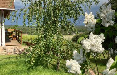 Widokówka - Foto 65