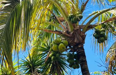 Blue Ocean Costa Adeje 506 - Foto 54