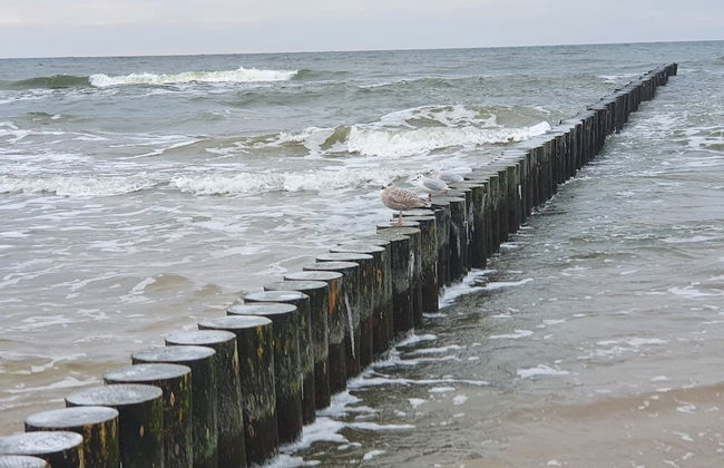 Kliff Apartamenty - Photo 25