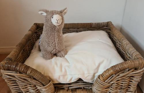 Rosenzauber Gipfelstürmer - Foto 10