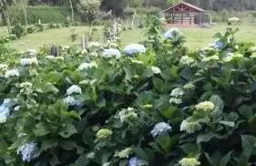 Recanto da Natureza- Chalé - Foto 41