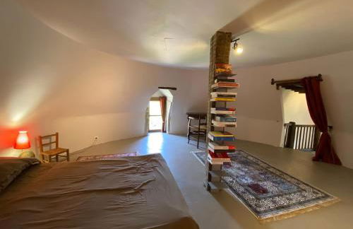 Tour du manoir de Boiscorde - Foto 10